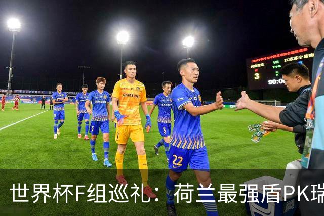 世界杯F组巡礼：荷兰最强盾PK瑞典犀利刀 日本短板明显