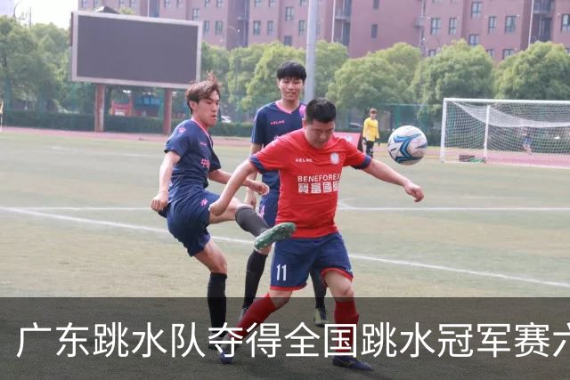 广东跳水队夺得全国跳水冠军赛六金，年轻新星崭露头角